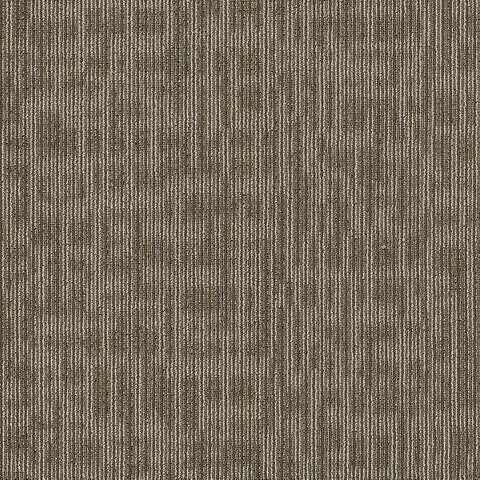 Shaw Carpet Tile Genius Scholarly Shaw Shaw 