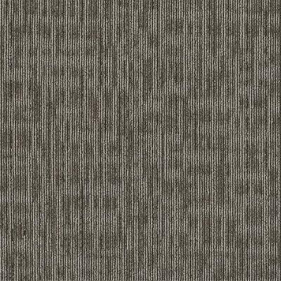 Shaw Carpet Tile Genius Smarts Shaw Shaw 