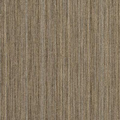 Shaw Carpet Tile Intellect Scholarly Shaw Shaw 