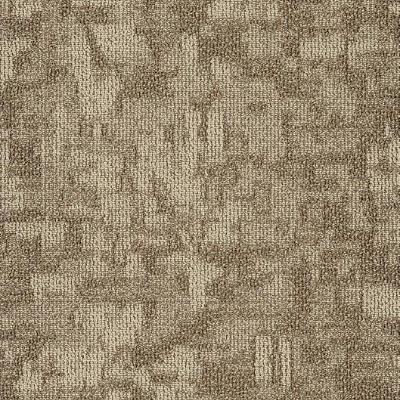 Shaw Carpet Tile Arid Dunes