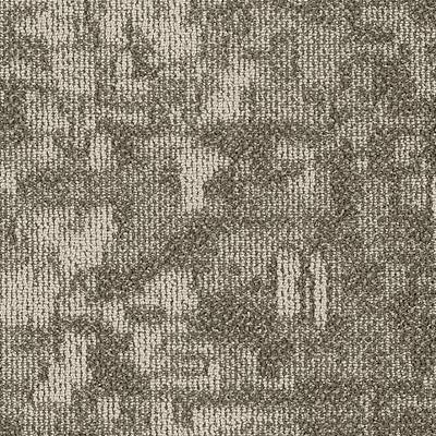 Shaw Carpet Tile Arid Pingo