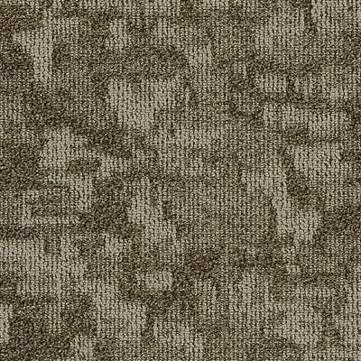 Shaw Carpet Tile Arid Salt Flat