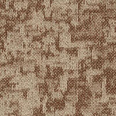 Shaw Carpet Tile Arid Mesa