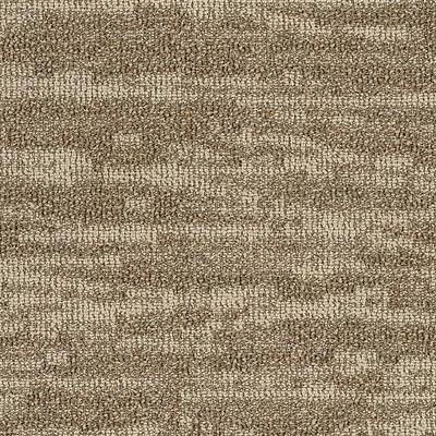 Shaw Carpet Tile Tidewater Dunes Shaw Shaw 
