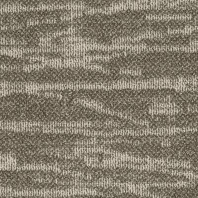 Shaw Carpet Tile Tidewater Pingo Shaw Shaw 