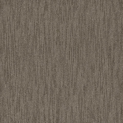 Shaw Carpet Tile Dynamo Masterful Shaw Shaw 