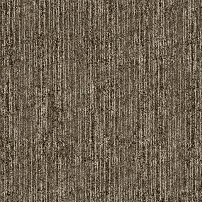 Shaw Carpet Tile Dynamo Scholarly Shaw Shaw 