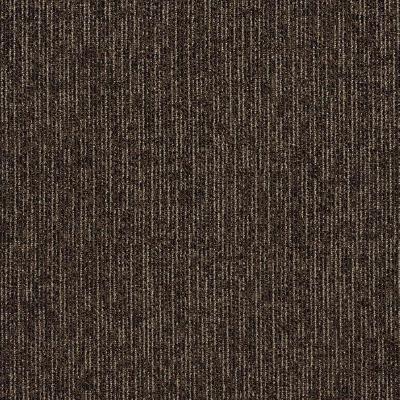 Shaw Carpet Tile Step Right In Stride Shaw Shaw 