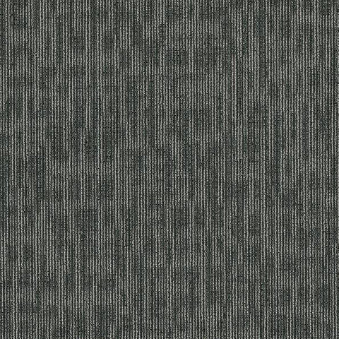 Shaw Carpet Tile Kudos Sharp Shaw Shaw 