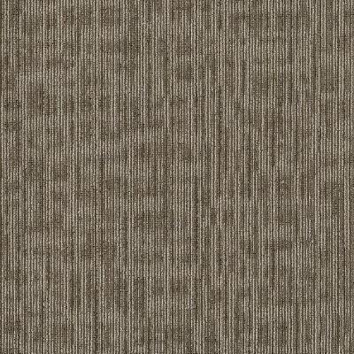 Shaw Carpet Tile Kudos Scholarly Shaw Shaw 