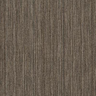 Shaw Carpet Tile Praise Smarts Shaw Shaw 