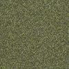 Shaw Carpet Tile Knot It Hitch Shaw Shaw 