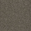 Shaw Carpet Tile Knot It Wrap Shaw Shaw 