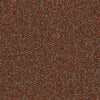 Shaw Carpet Tile Knot It Twist Shaw Shaw 