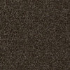 Shaw Carpet Tile Knot It Twine Shaw Shaw 