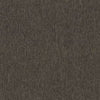 Shaw Carpet Tile Profusion Tile Scads Shaw Shaw 
