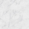 MSI Trecento Carrara Avell MSI MSI 