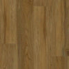 Congoleum ArmorCore Plank Ridge Land Amber Congoleum Congoleum 