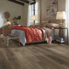 Shaw Distinction Plus Ash Oak