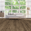LifeCore Allegra Serenity LifeCore LifeCore 