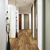 COREtec Pro Plus Belmont Hickory 7" COREtec COREtec 