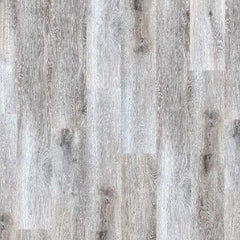 Earthwerks Chassis Pro Plus Suspension Earthwerks Earthwerks 