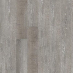 Earthwerks Chassis Pro Plus Caspas Earthwerks Earthwerks 