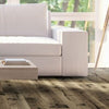 LifeCore Allegra Clarity LifeCore LifeCore 