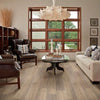Shaw Endura 512C Plus Driftwood