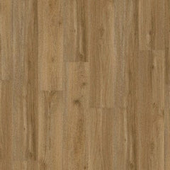 Earthwerks Chassis Pro Plus Backbone Earthwerks Earthwerks 