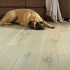 Shaw Exquisite Waterproof Hardwood Floorte Beiged Hickory