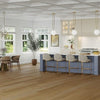 Mannington Adura Flex Plank Regency Oak Gilded Gold Mannington Mannington 