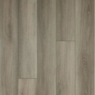 Stanton Grove Fossil