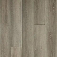 Stanton Grove Fossil