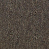 Shaw Carpet Tile Consultant Network Shaw Shaw 