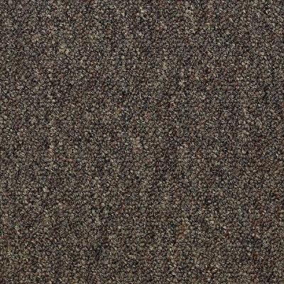 Shaw Carpet Tile Consultant Network Shaw Shaw 