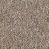 Shaw Carpet Tile Consultant Mentor Shaw Shaw 