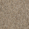Shaw Carpet Tile No Limits Tile Boundaries Shaw Shaw 