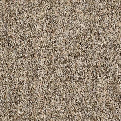 Shaw Carpet Tile No Limits Tile Boundaries Shaw Shaw 