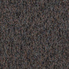 Shaw Carpet Tile No Limits Tile Unending Shaw Shaw 