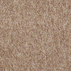 Shaw Carpet Tile No Limits Tile Potential Shaw Shaw 