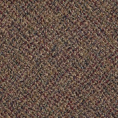Shaw Carpet Tile Change In Attitude Tile Play It Cool Shaw Shaw 
