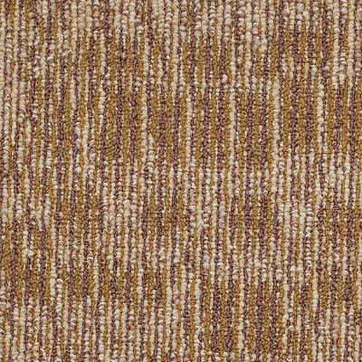 Shaw Carpet Tile Chain Reaction Echo Shaw Shaw 