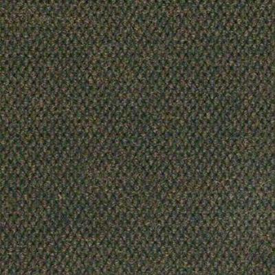 Shaw Carpet Tile Impromtu Wintergreen Shaw Shaw 