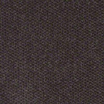 Shaw Carpet Tile Impromtu Bark Shaw Shaw 