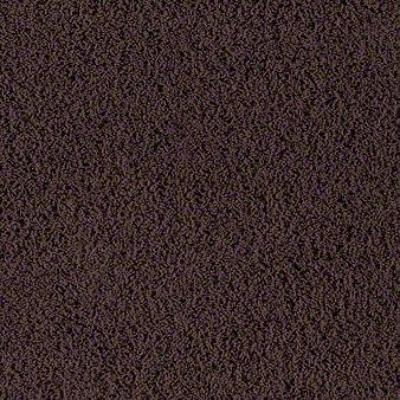 Shaw Carpet Tile Intermix Stir