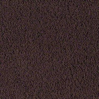 Shaw Carpet Tile Intermix Stir Shaw Shaw 