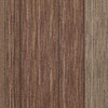Shaw Carpet Tile Quick Change Bond Shaw Shaw 
