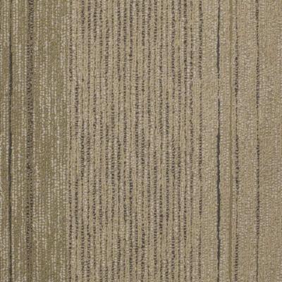 Shaw Carpet Tile Quick Change Emulsify Shaw Shaw 