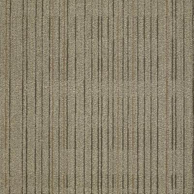 Shaw Carpet Tile Immerse Engross